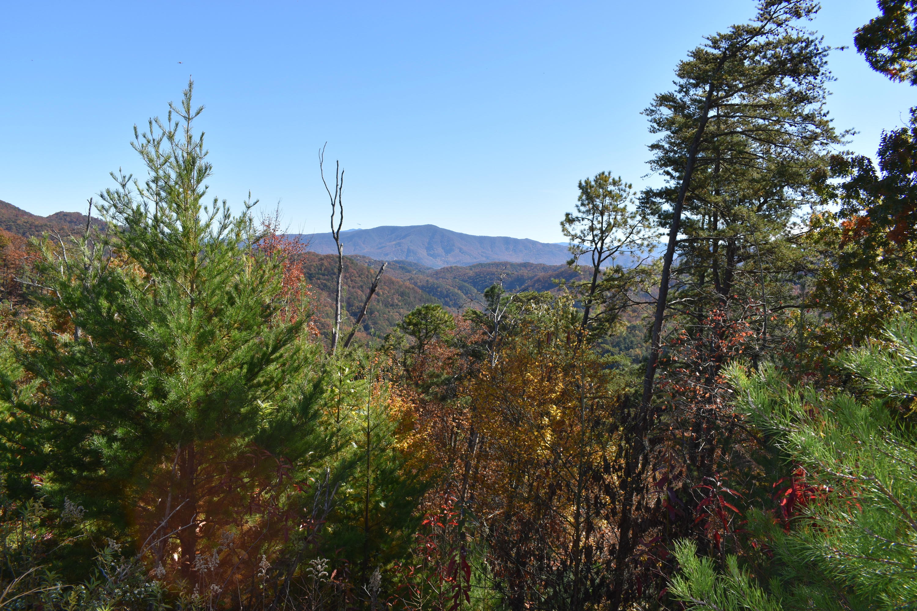 Lot 41 West 4968 Long Rifle Road Walland, TN 37886 - Photo 3 of 13 DMC_0554
