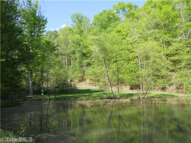 43.36-ac Bolejack Road Germanton, NC 27019 - Photo 11 of 13 Exterior Front. pond 2