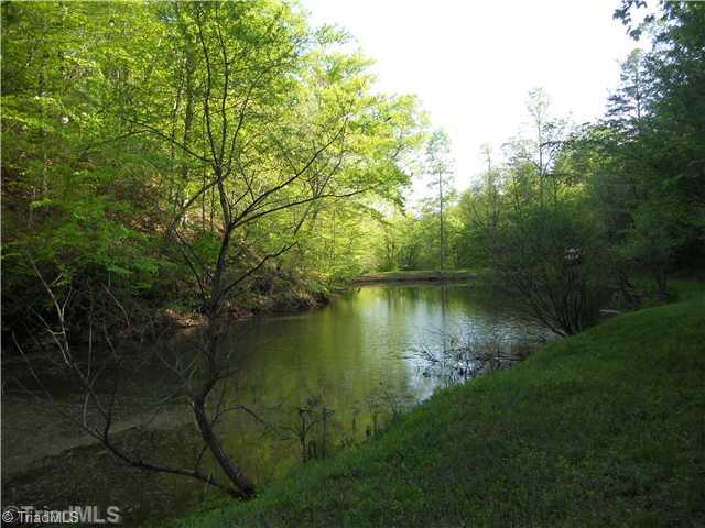 43.36-ac Bolejack Road Germanton, NC 27019 - Photo 8 of 13 Exterior Front. pond 1