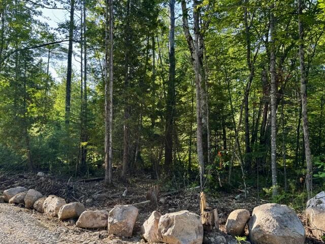 Lot 1 Skogen Ridge Drive Belgrade, ME 04917 - Photo 4 of 13 IMG_5440