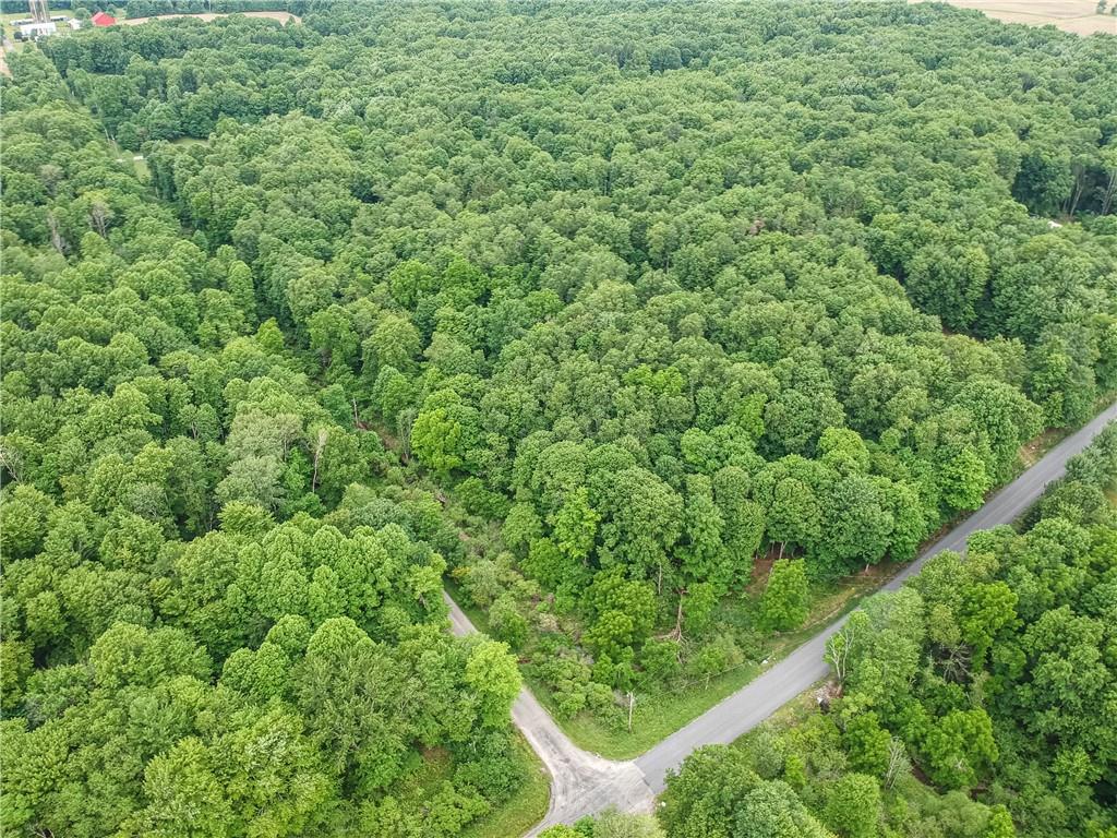 365 Klein Road Sandy Lake, PA 16145 - Photo 9 of 10