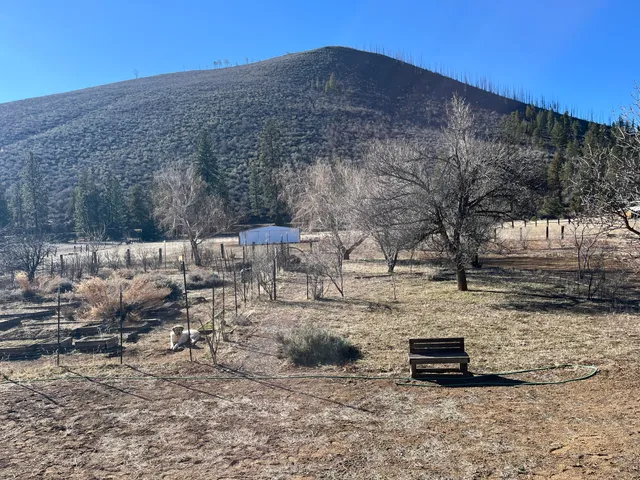 a view of a backyard with wooden fence