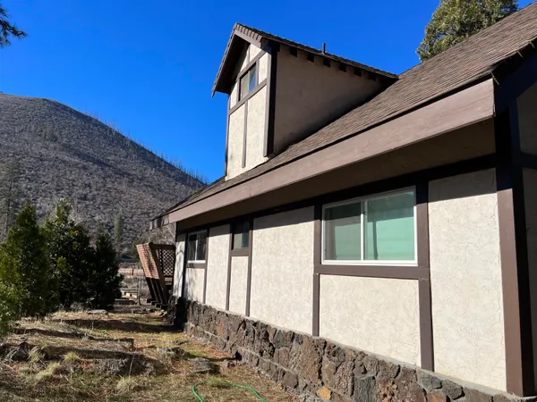 a view of backyard with large tree