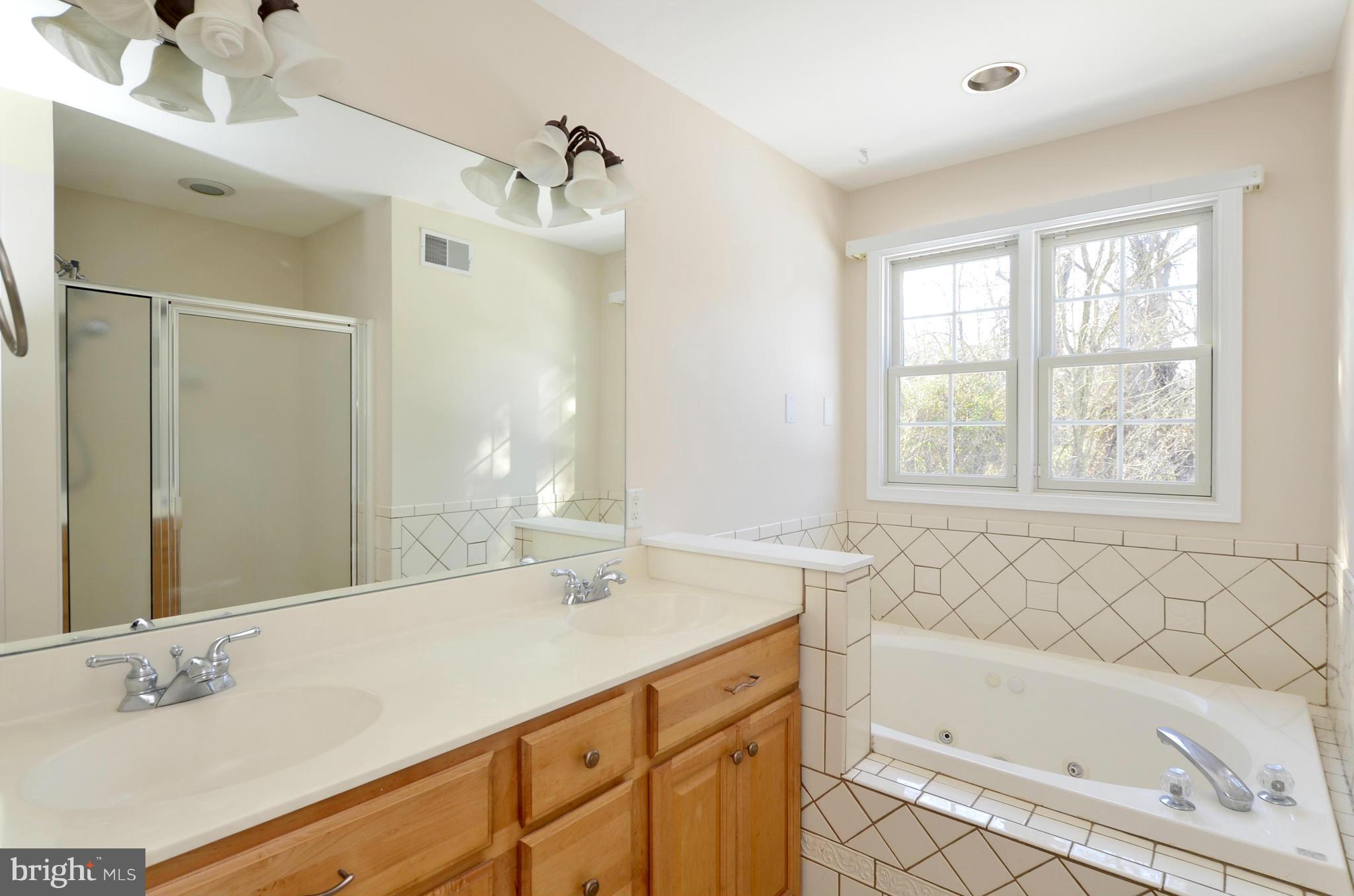 3223 Dublin Road Street, MD 21154 - Photo 20 of 30 Bath (Master)