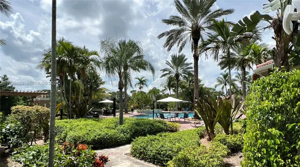 a view of a yard with a palm tree