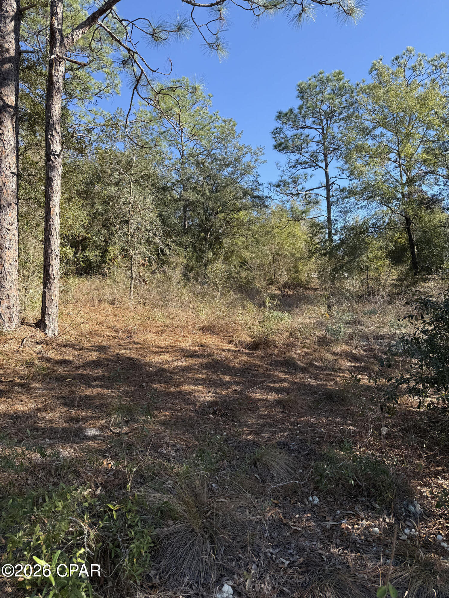 Lot 21 Grassy Pond Road Chipley, FL 32428 - Photo 7 of 14