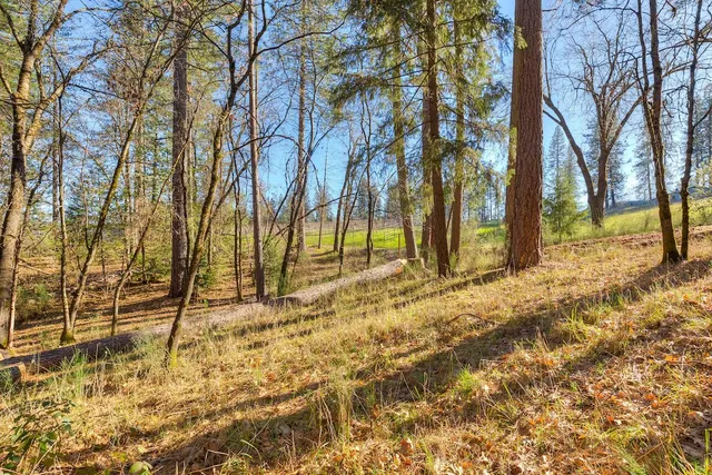 a backyard of a house with large trees and wooden fence