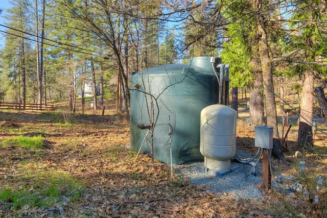 a view of a park that has large trees