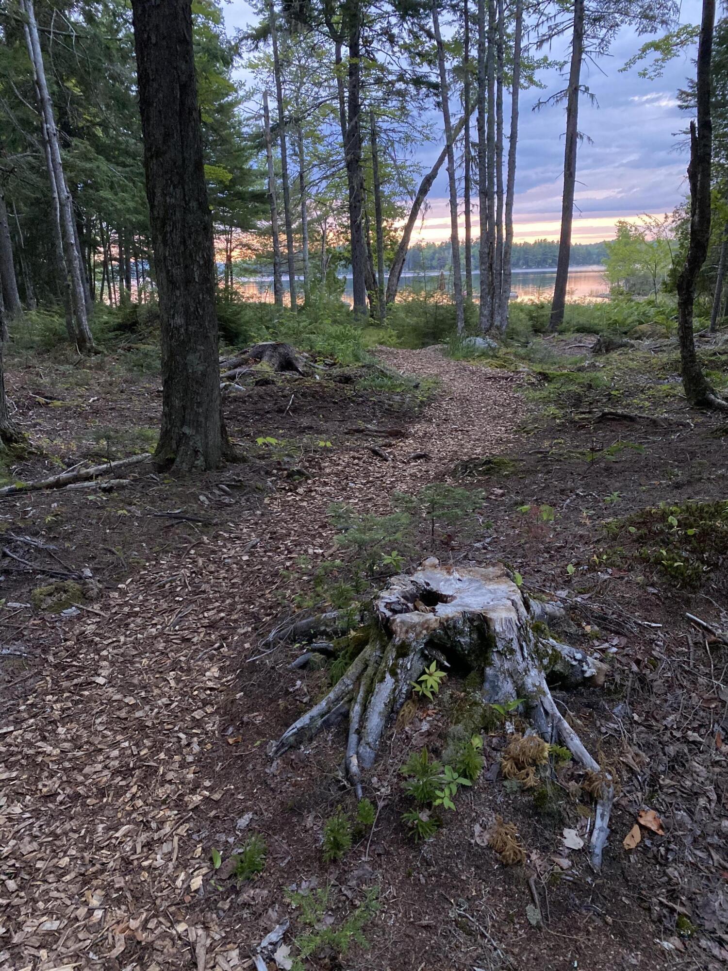 277 Gus Moore Road Penobscot, ME 04476 - Photo 50 of 58 IMG_7198