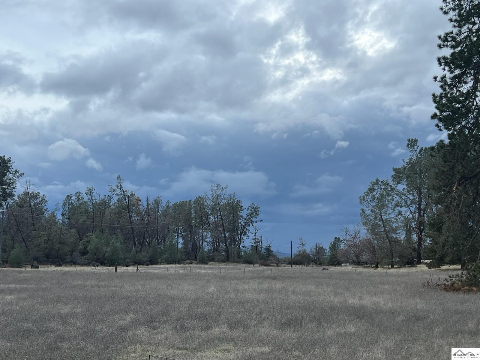 21705 South Powerhouse Road Manton, CA 96059 - Photo 18 of 19
