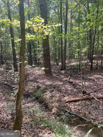 $623,000 | 0 Elder Road, Griffin, GA 30223