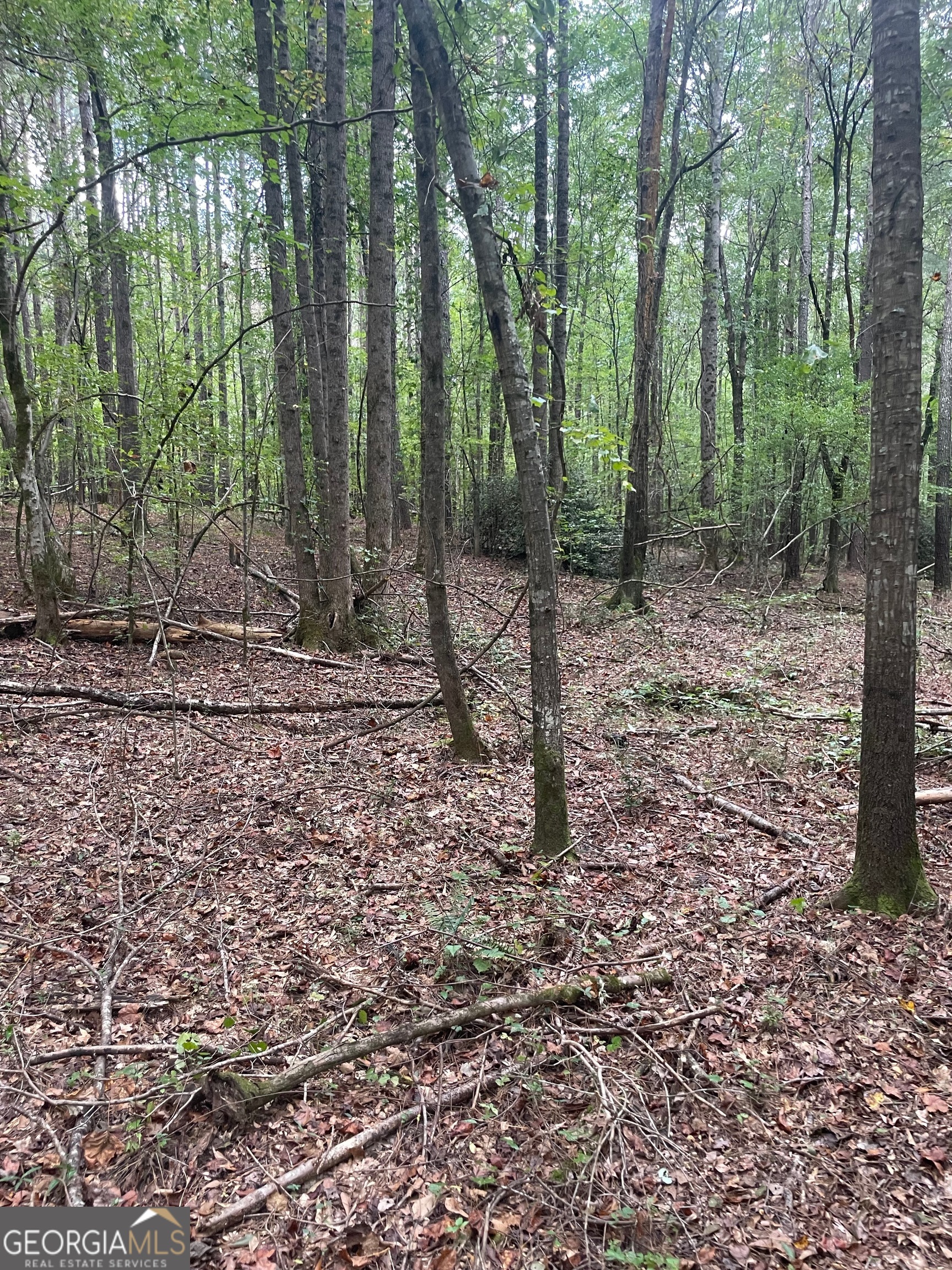 0 Elder Road Griffin, GA 30223 - Photo 11 of 23