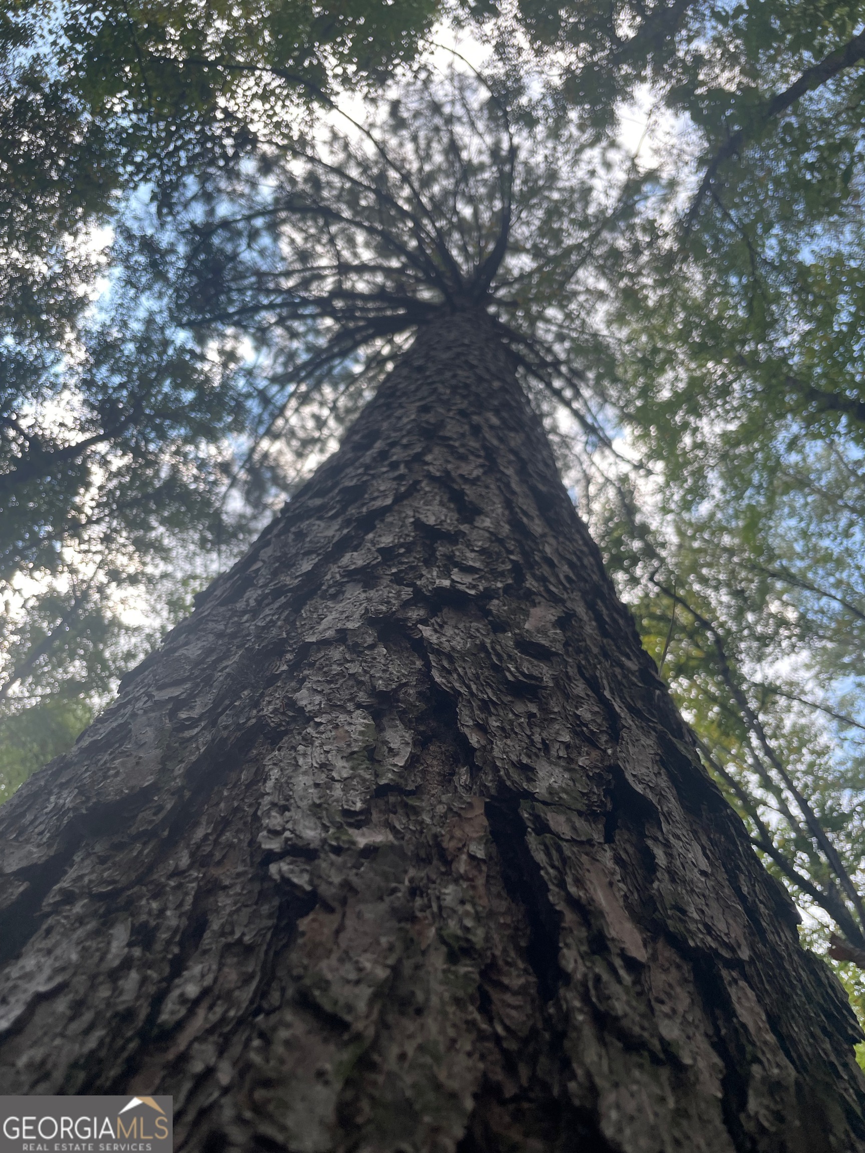 0 Elder Road Griffin, GA 30223 - Photo 12 of 23