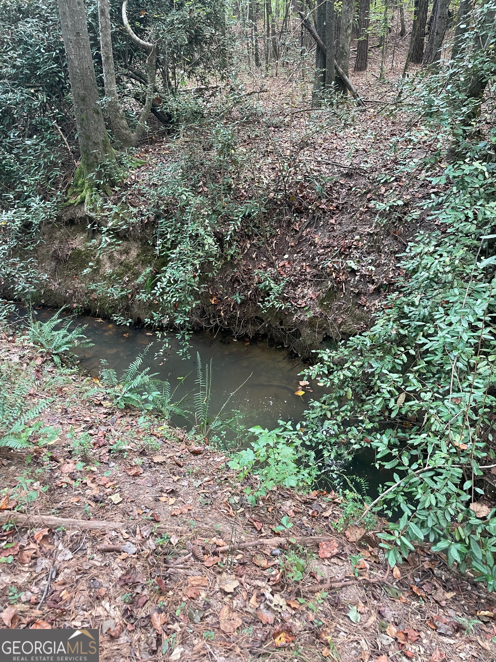 0 Elder Road Griffin, GA 30223 - Photo 13 of 23