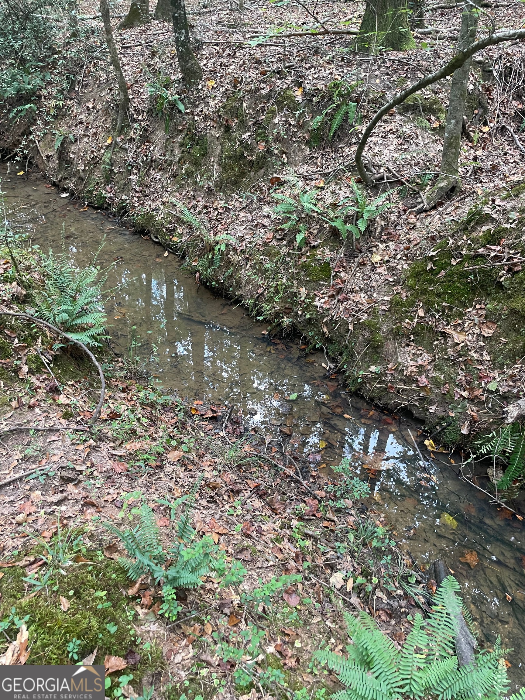 0 Elder Road Griffin, GA 30223 - Photo 14 of 23