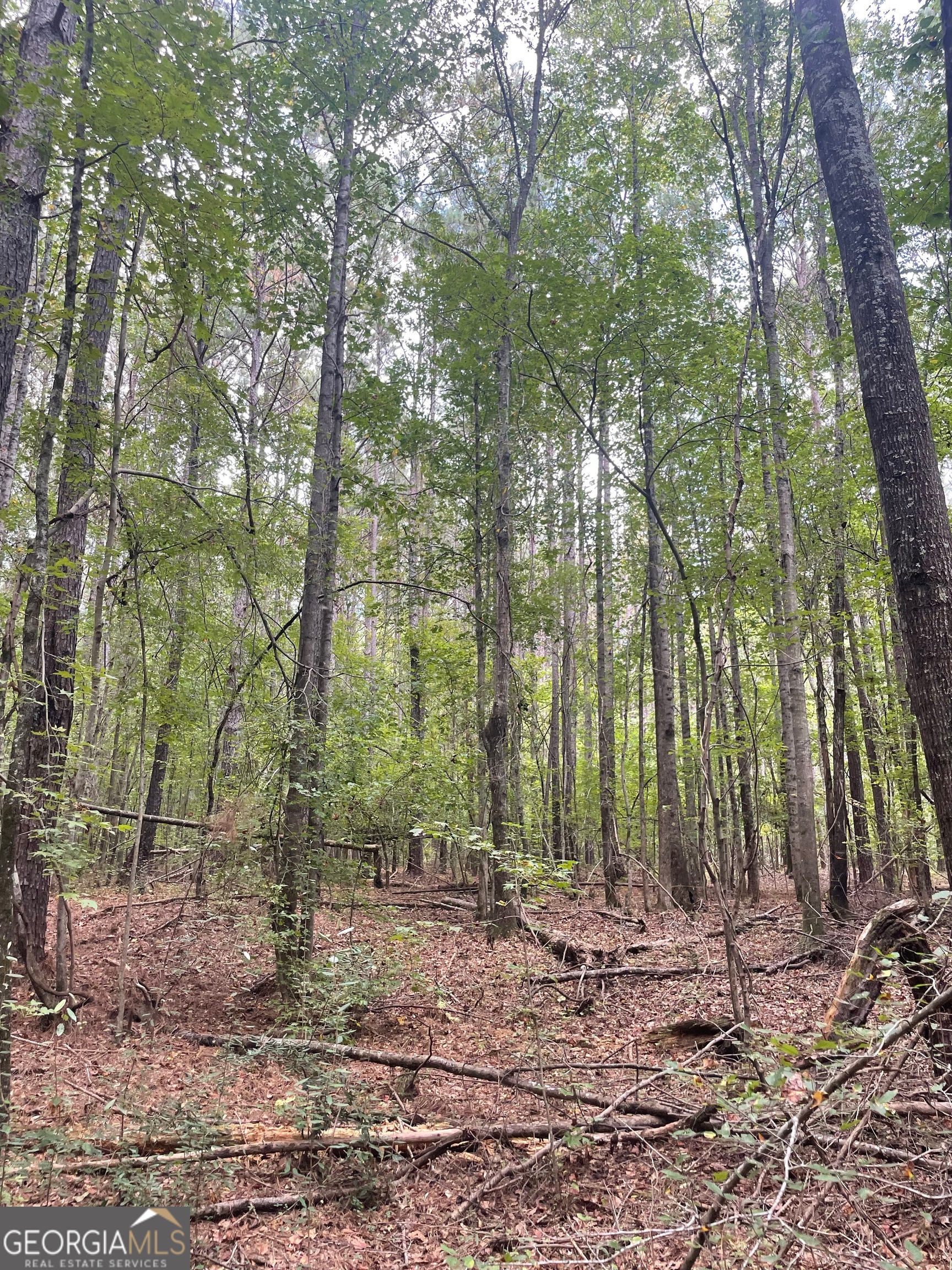 0 Elder Road Griffin, GA 30223 - Photo 15 of 23