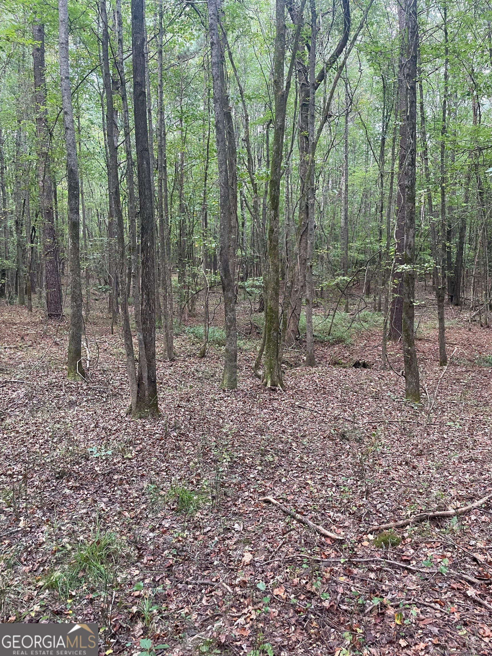 0 Elder Road Griffin, GA 30223 - Photo 16 of 23