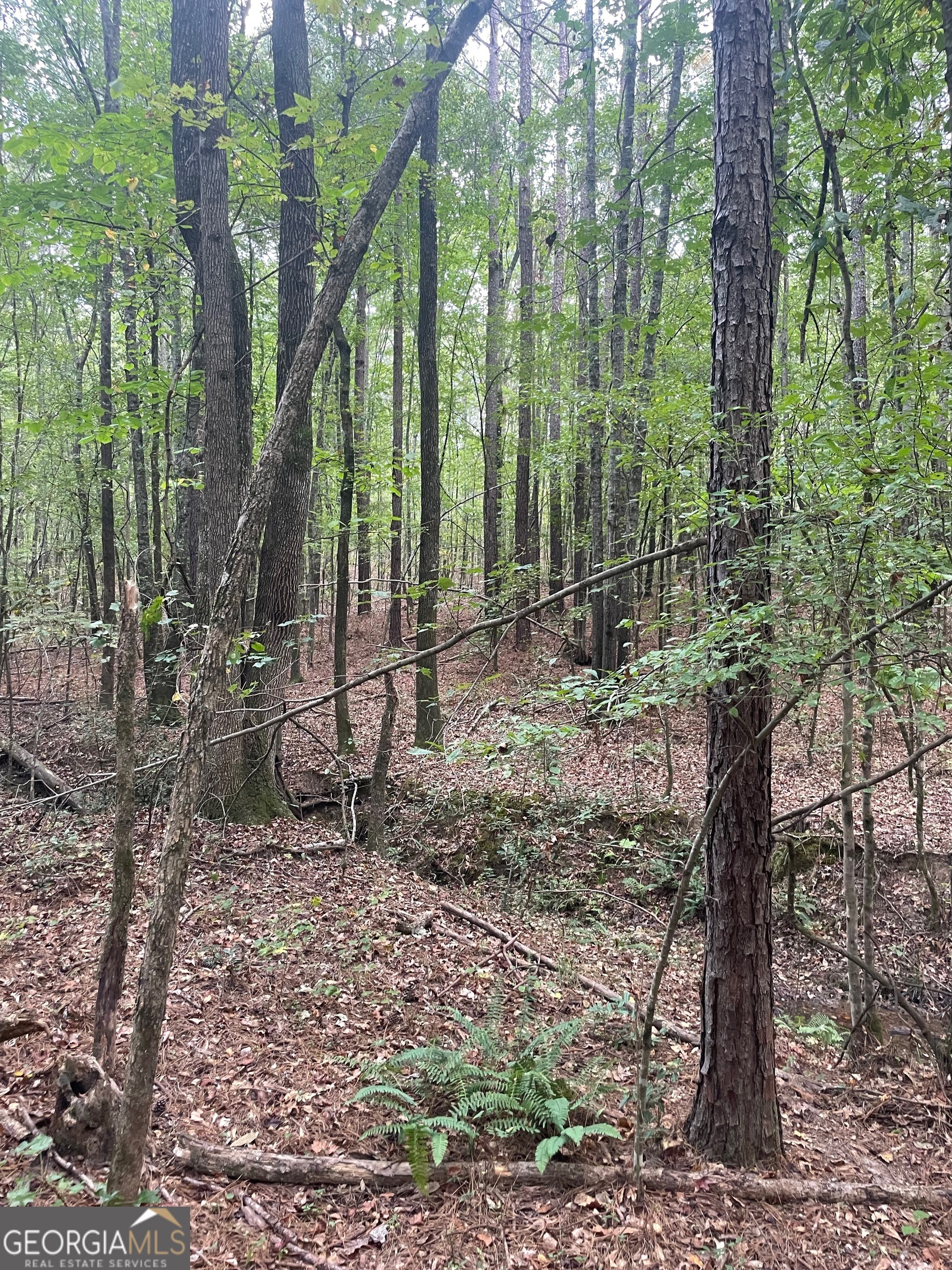 0 Elder Road Griffin, GA 30223 - Photo 17 of 23