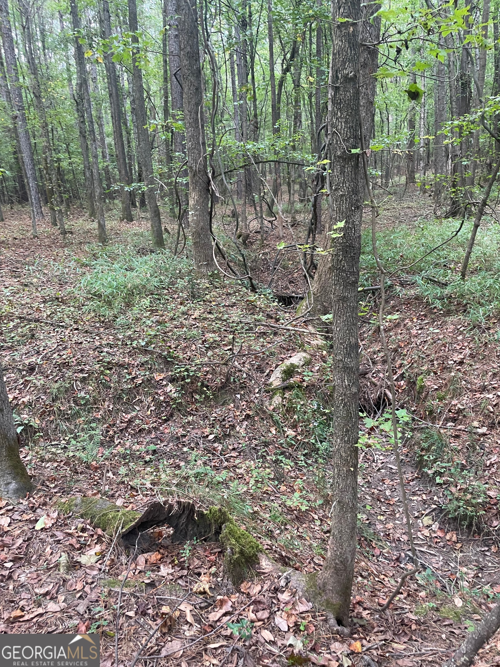 0 Elder Road Griffin, GA 30223 - Photo 19 of 23