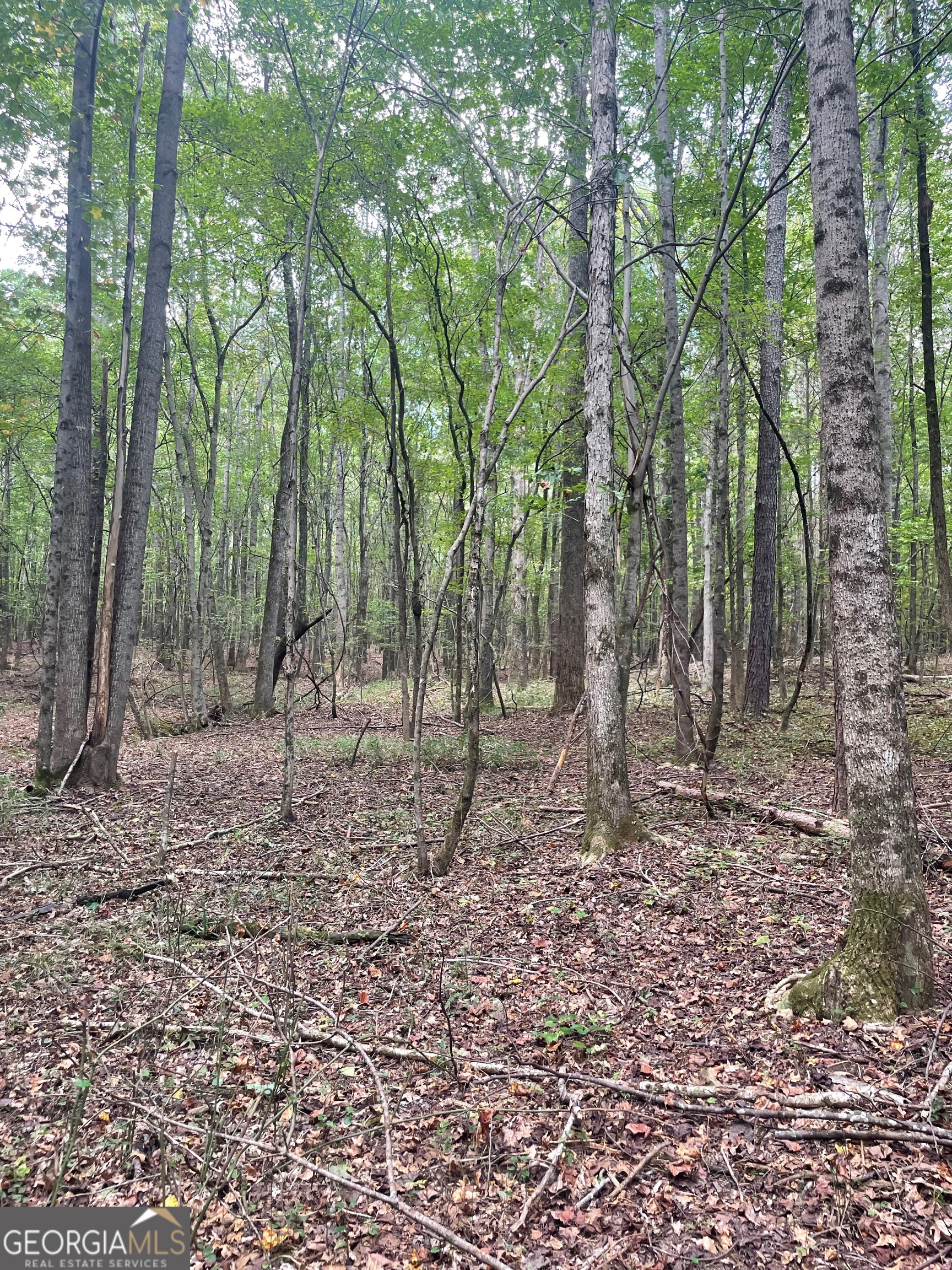 0 Elder Road Griffin, GA 30223 - Photo 20 of 23