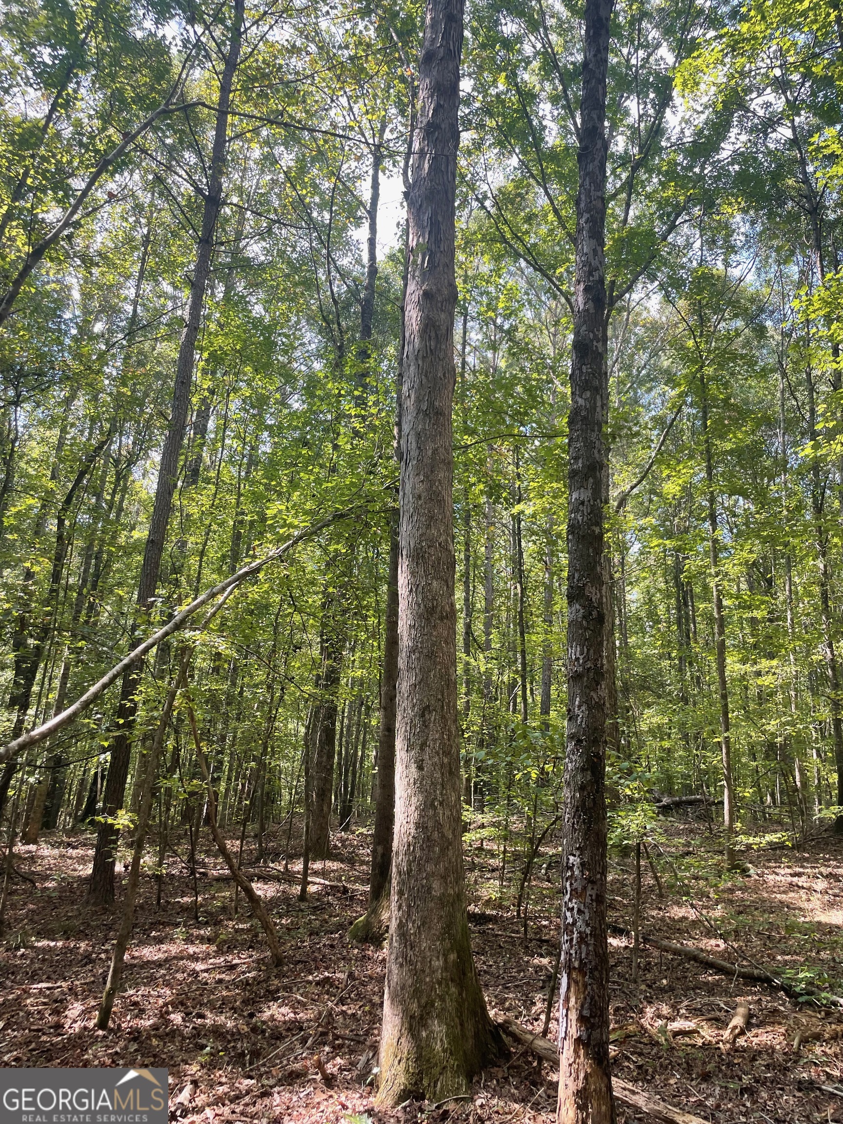 0 Elder Road Griffin, GA 30223 - Photo 2 of 23