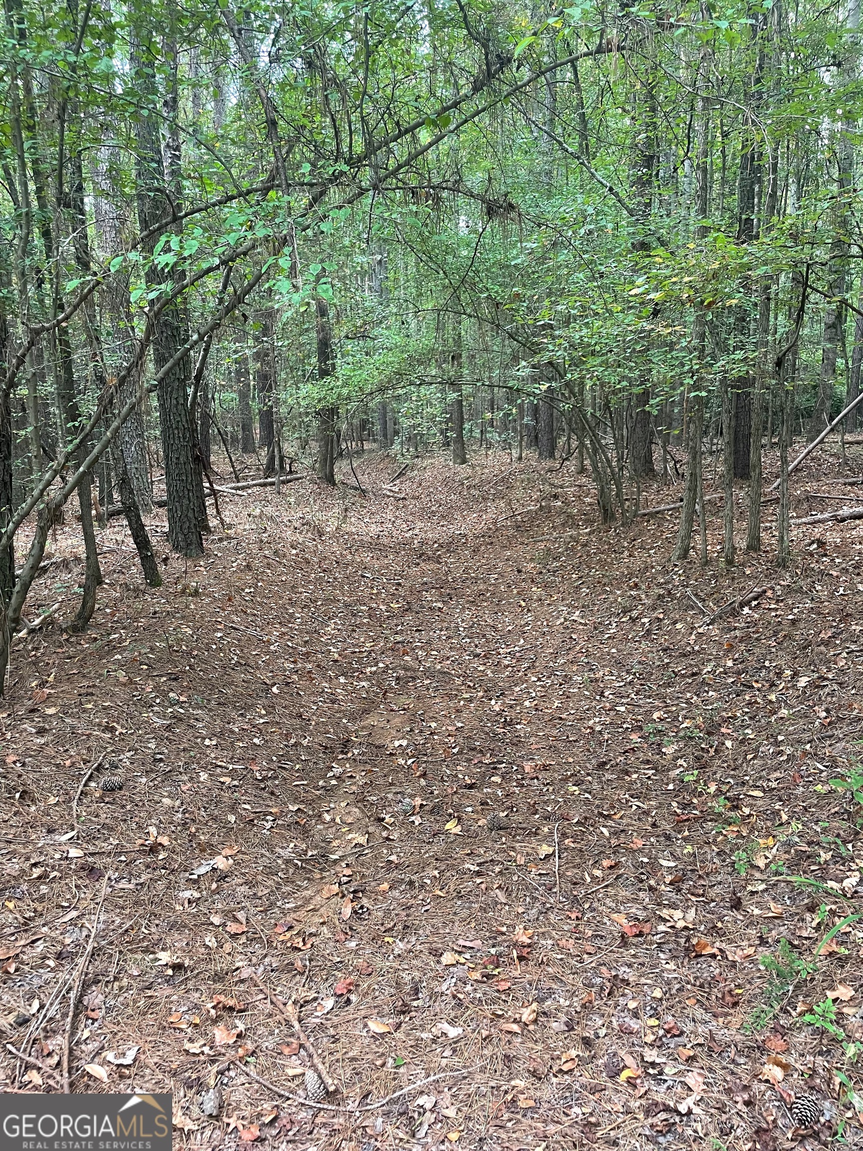 0 Elder Road Griffin, GA 30223 - Photo 21 of 23