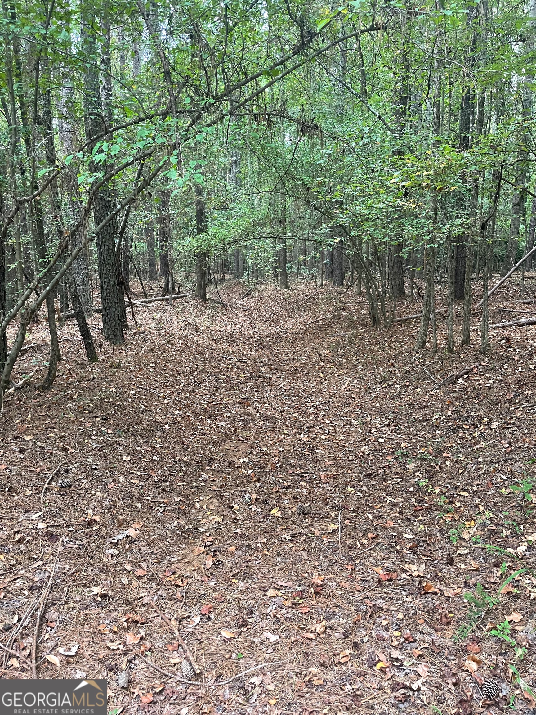 0 Elder Road Griffin, GA 30223 - Photo 23 of 23