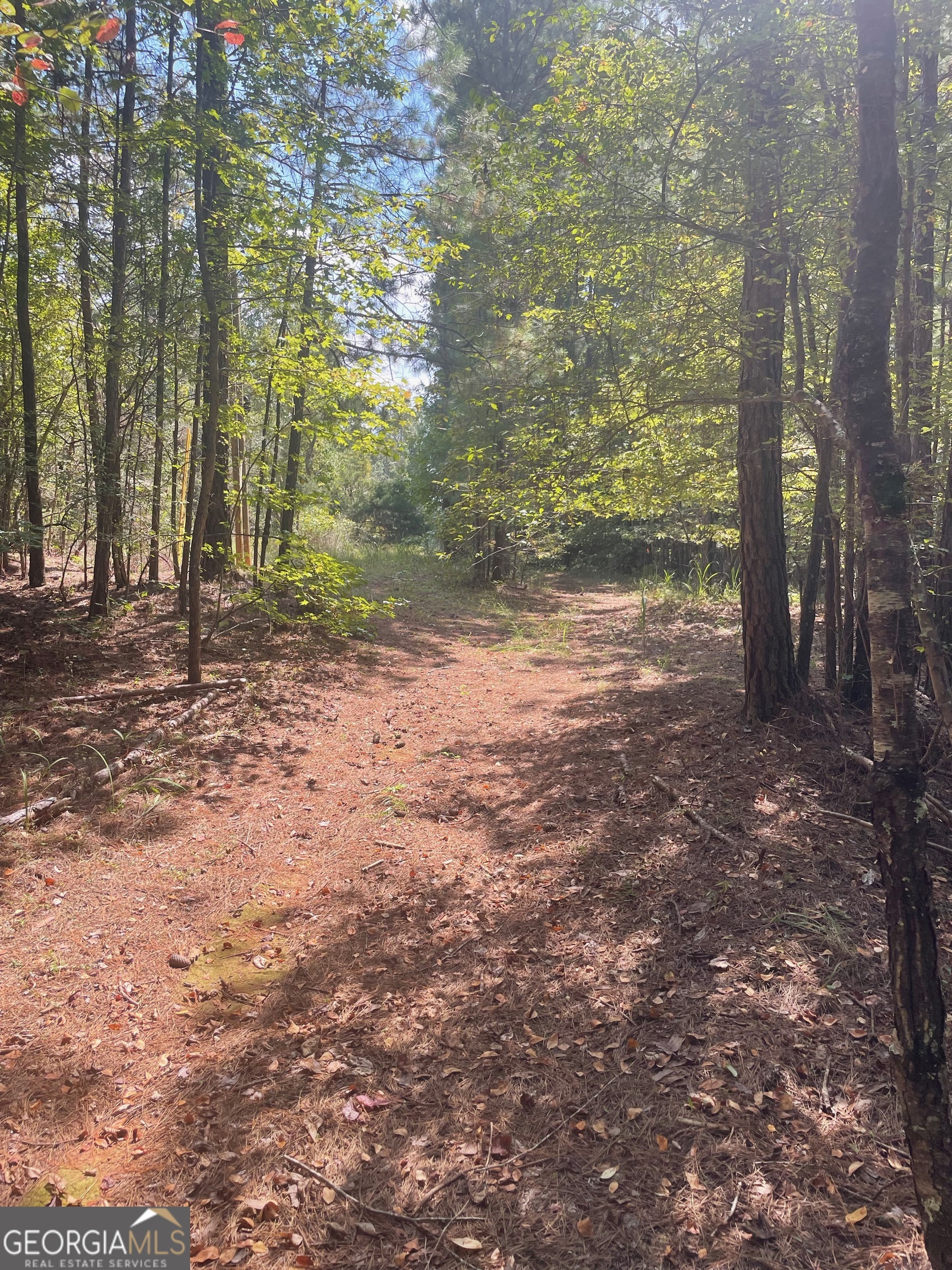 0 Elder Road Griffin, GA 30223 - Photo 3 of 23