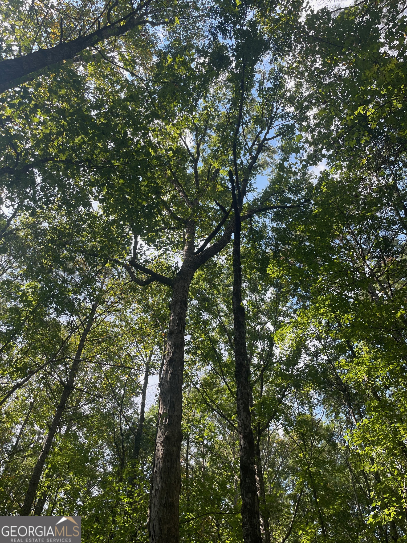 0 Elder Road Griffin, GA 30223 - Photo 5 of 23