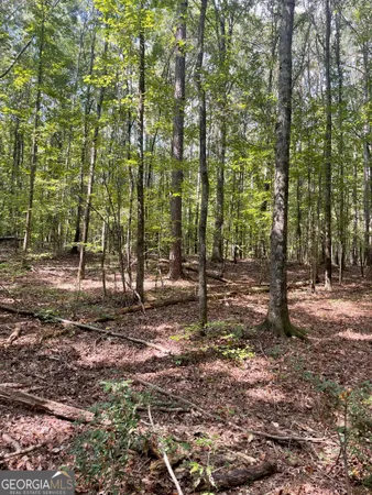 $623,000 | 0 Elder Road, Griffin, GA 30223