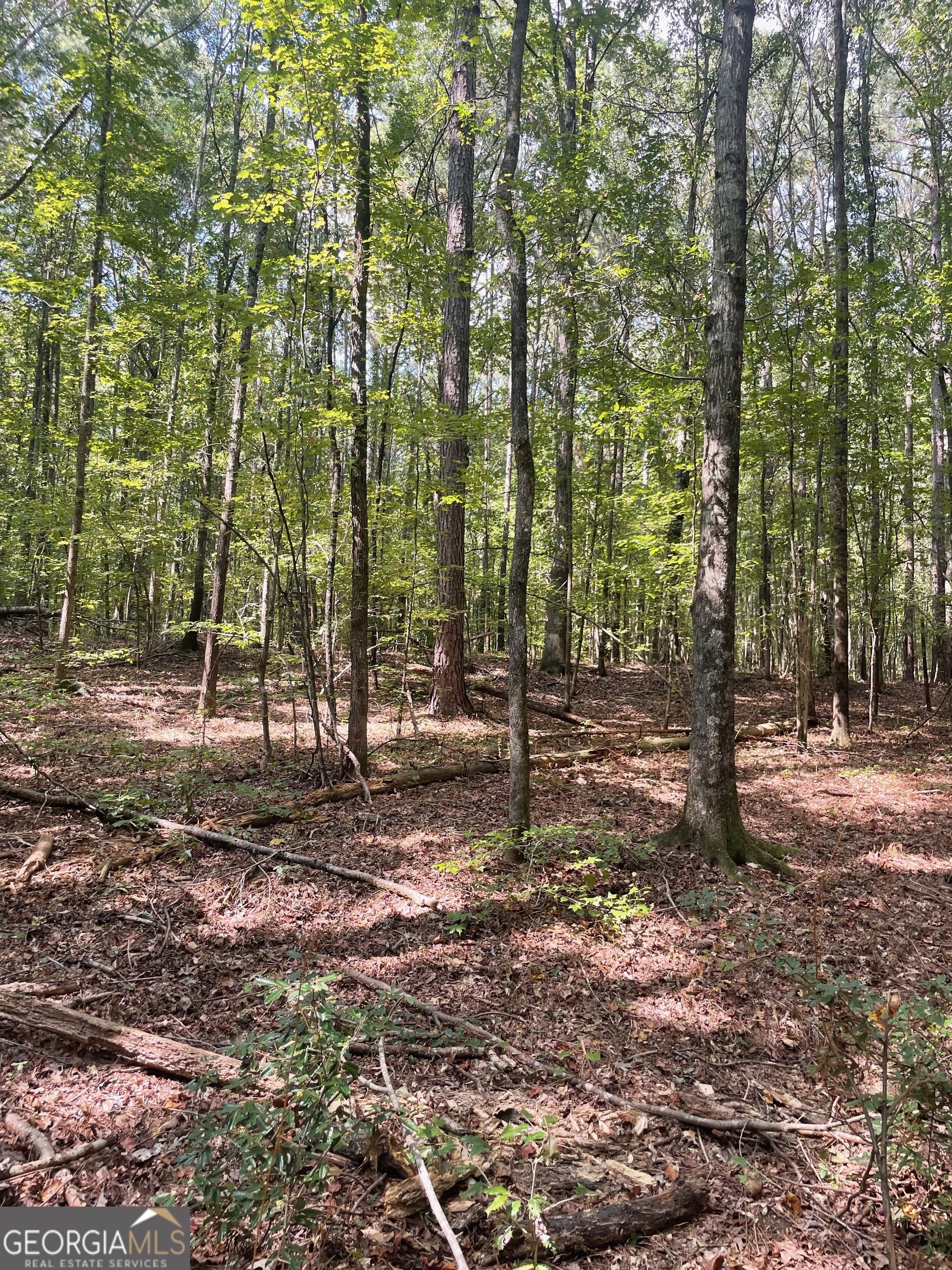 0 Elder Road Griffin, GA 30223 - Photo 6 of 23