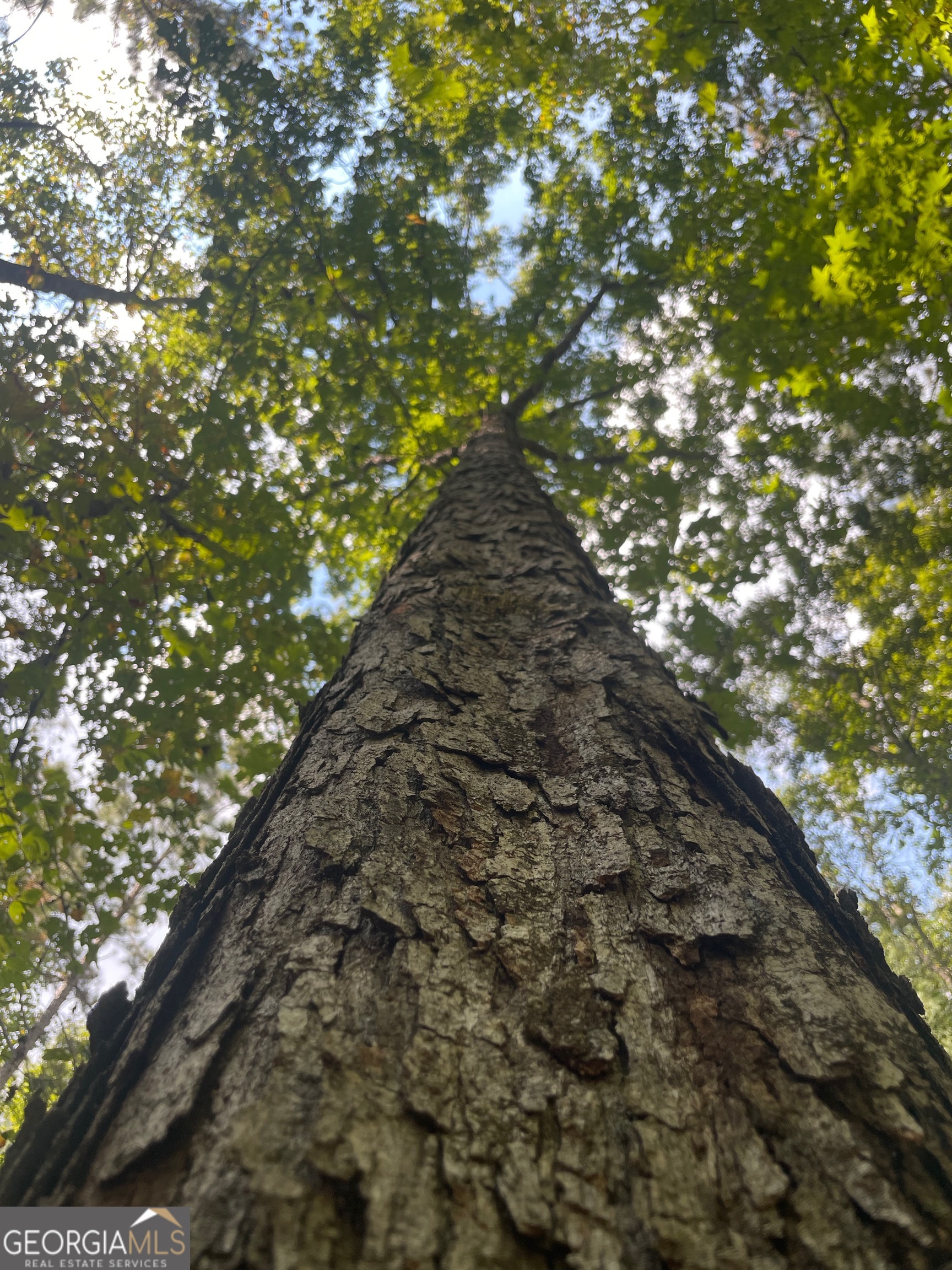 0 Elder Road Griffin, GA 30223 - Photo 7 of 23