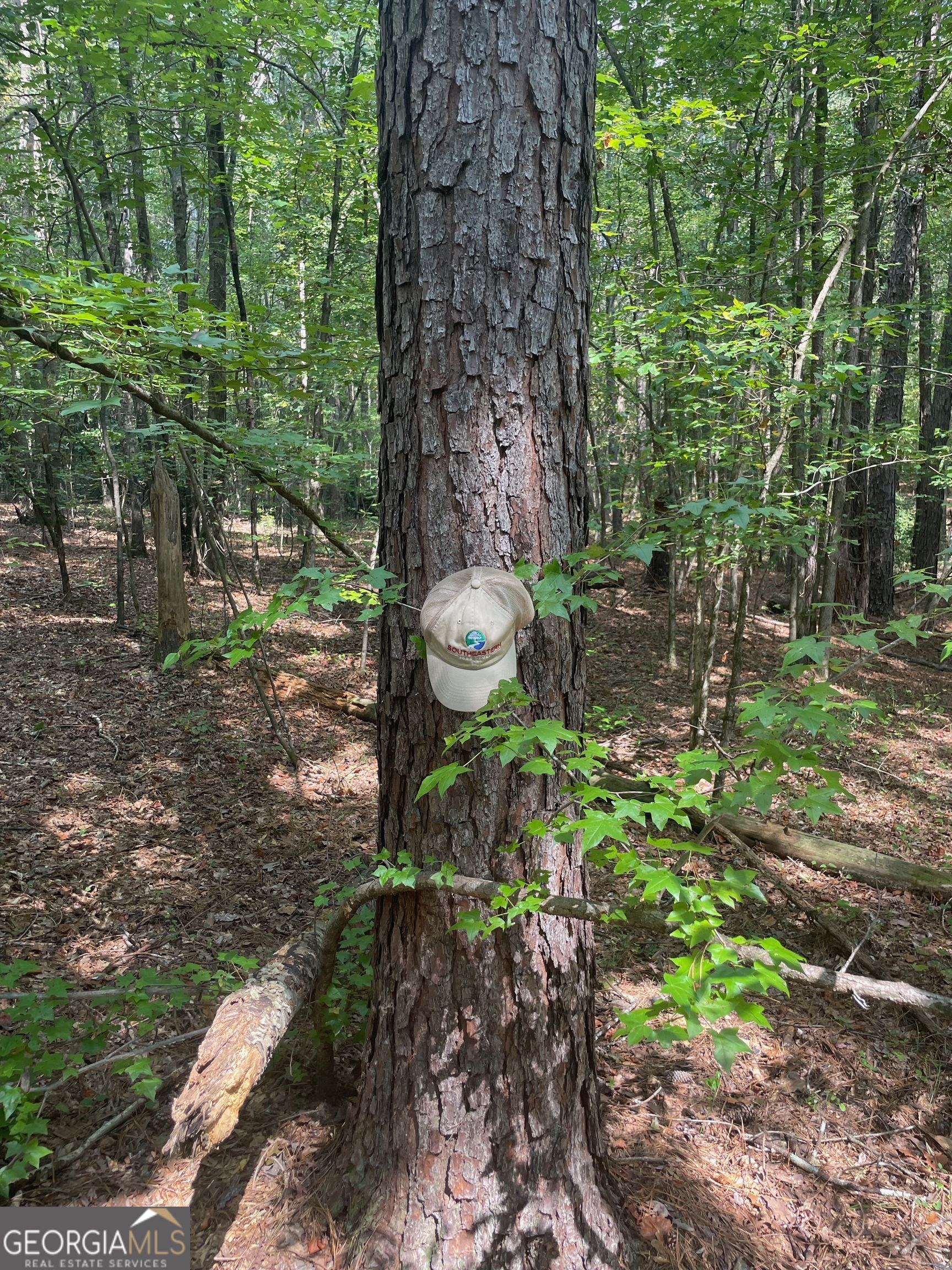 0 Elder Road Griffin, GA 30223 - Photo 8 of 23