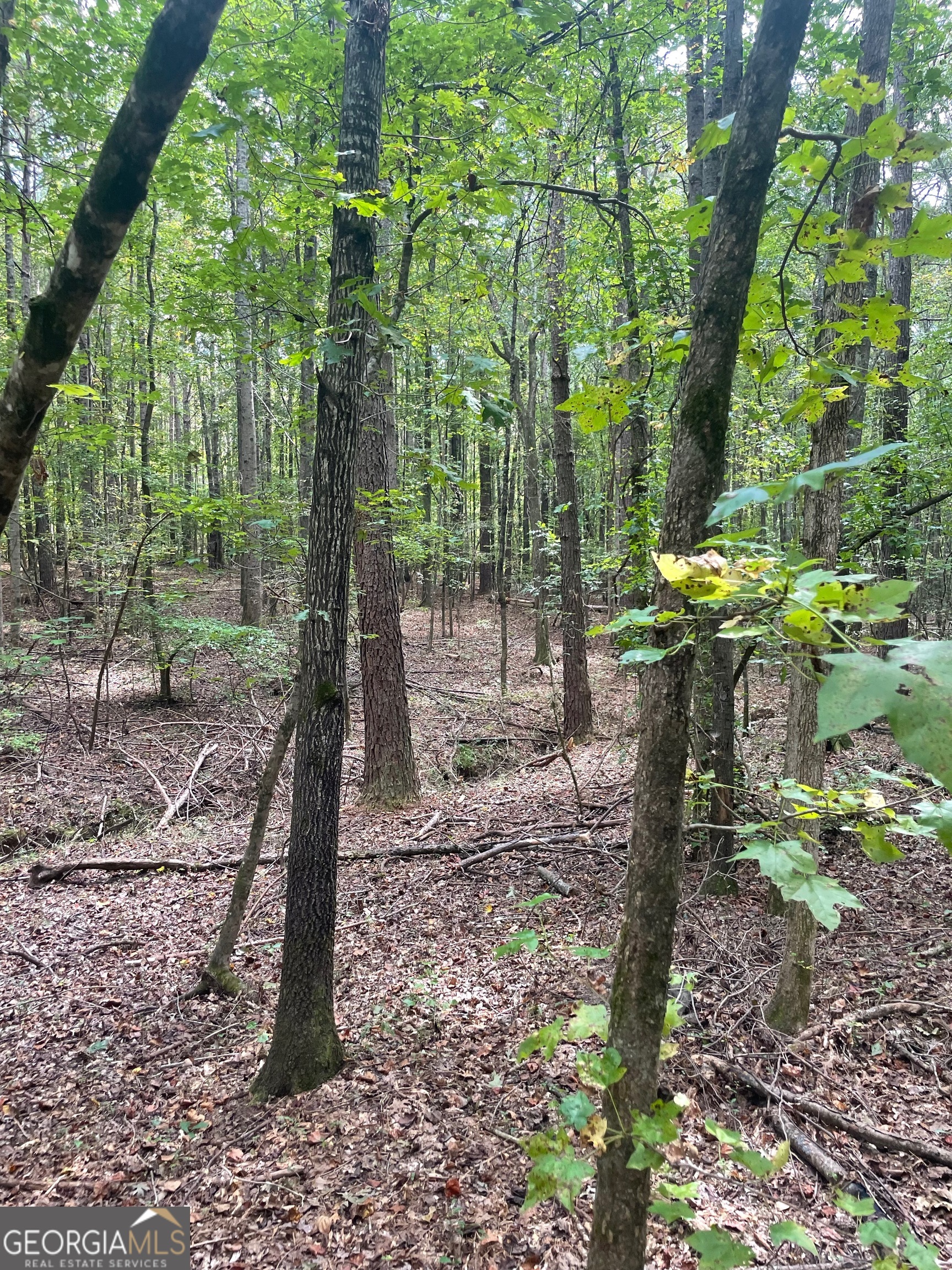 0 Elder Road Griffin, GA 30223 - Photo 9 of 23