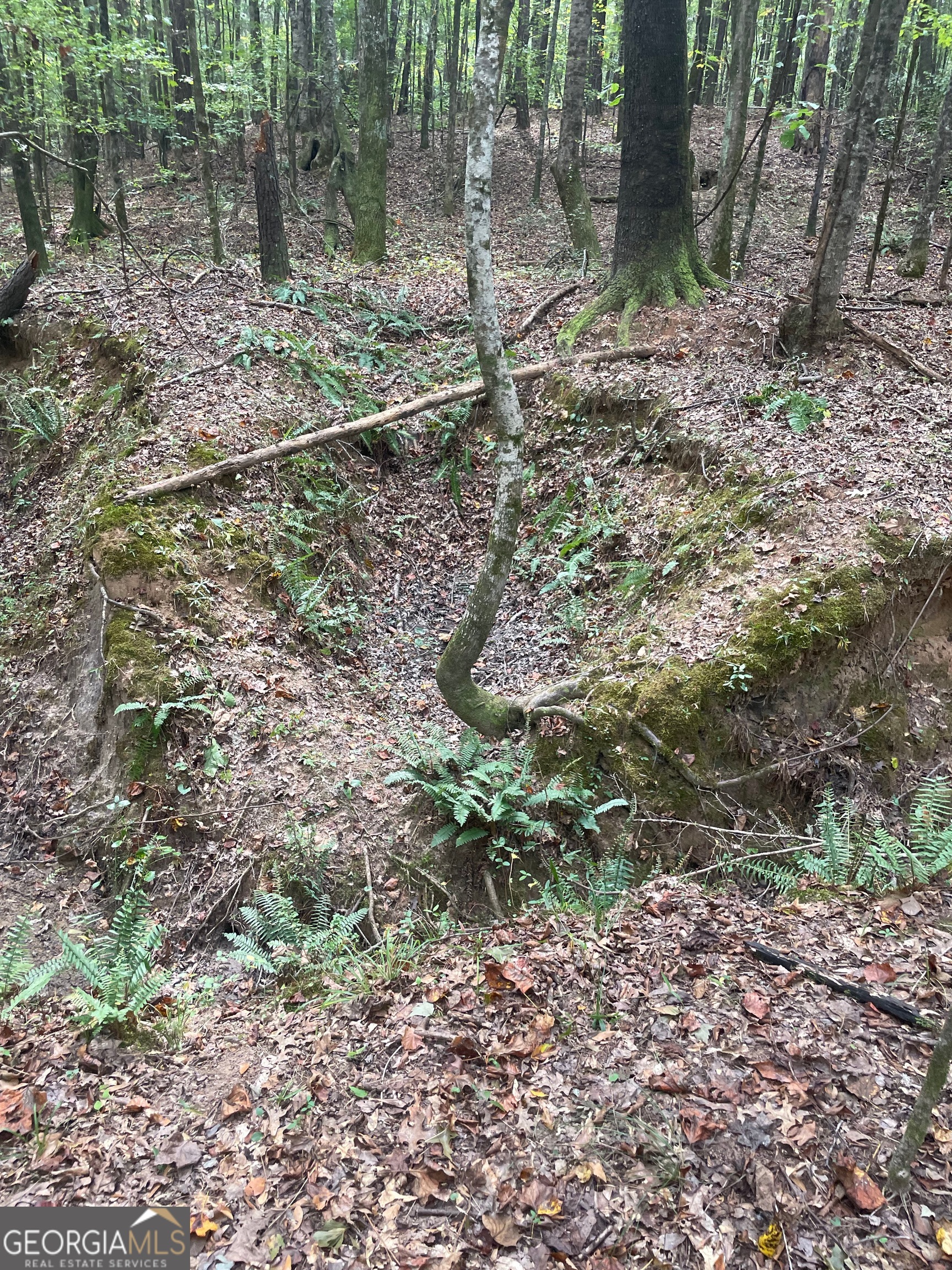 0 Elder Road Griffin, GA 30223 - Photo 10 of 23