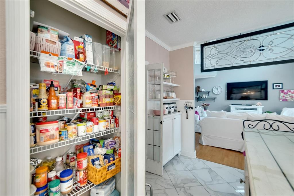 1617 Sydney Road Valrico, FL 33594 - Photo 32 of 90 Gallery Image 32
