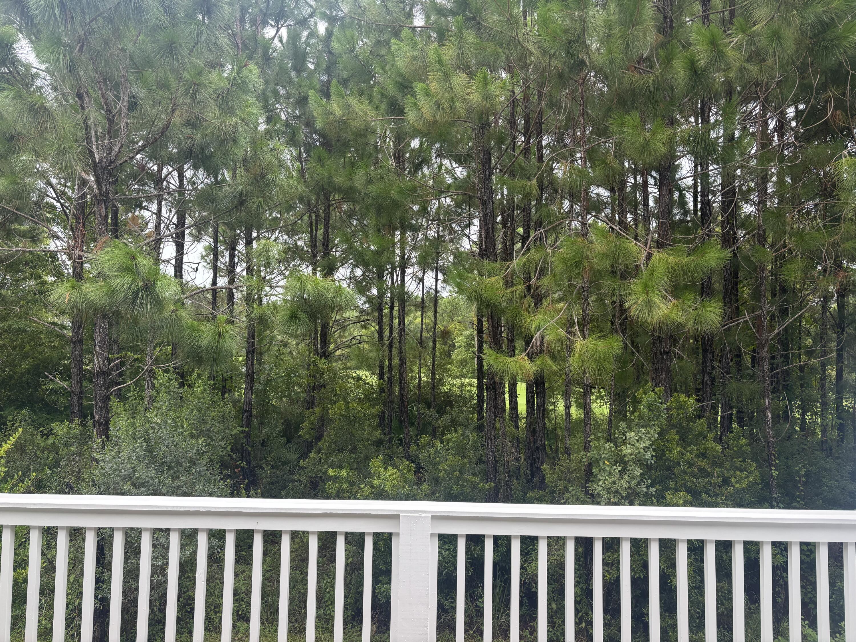 65 Golden Bell Ct Inlet Beach, Unit 65C Inlet Beach, FL 32461 - Photo 3 of 46 65C
