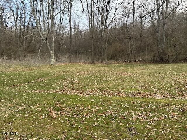 21515 Clear Creek Road Bristol, VA 24202 - Photo 16 of 21 IMG_0682