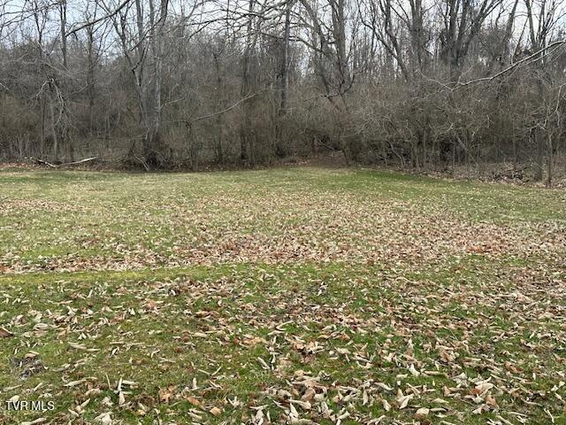 21515 Clear Creek Road Bristol, VA 24202 - Photo 17 of 21 IMG_0681