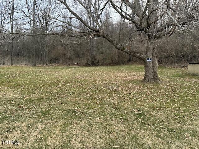 21515 Clear Creek Road Bristol, VA 24202 - Photo 18 of 21 IMG_0680