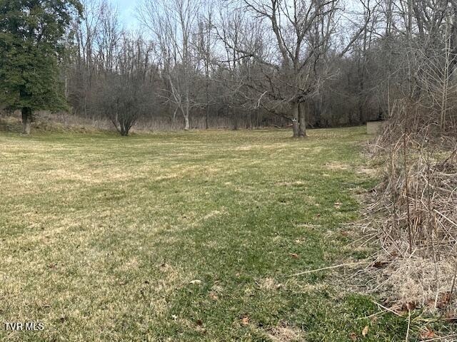 21515 Clear Creek Road Bristol, VA 24202 - Photo 19 of 21 IMG_0679