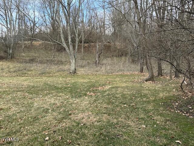 21515 Clear Creek Road Bristol, VA 24202 - Photo 8 of 21 IMG_0690