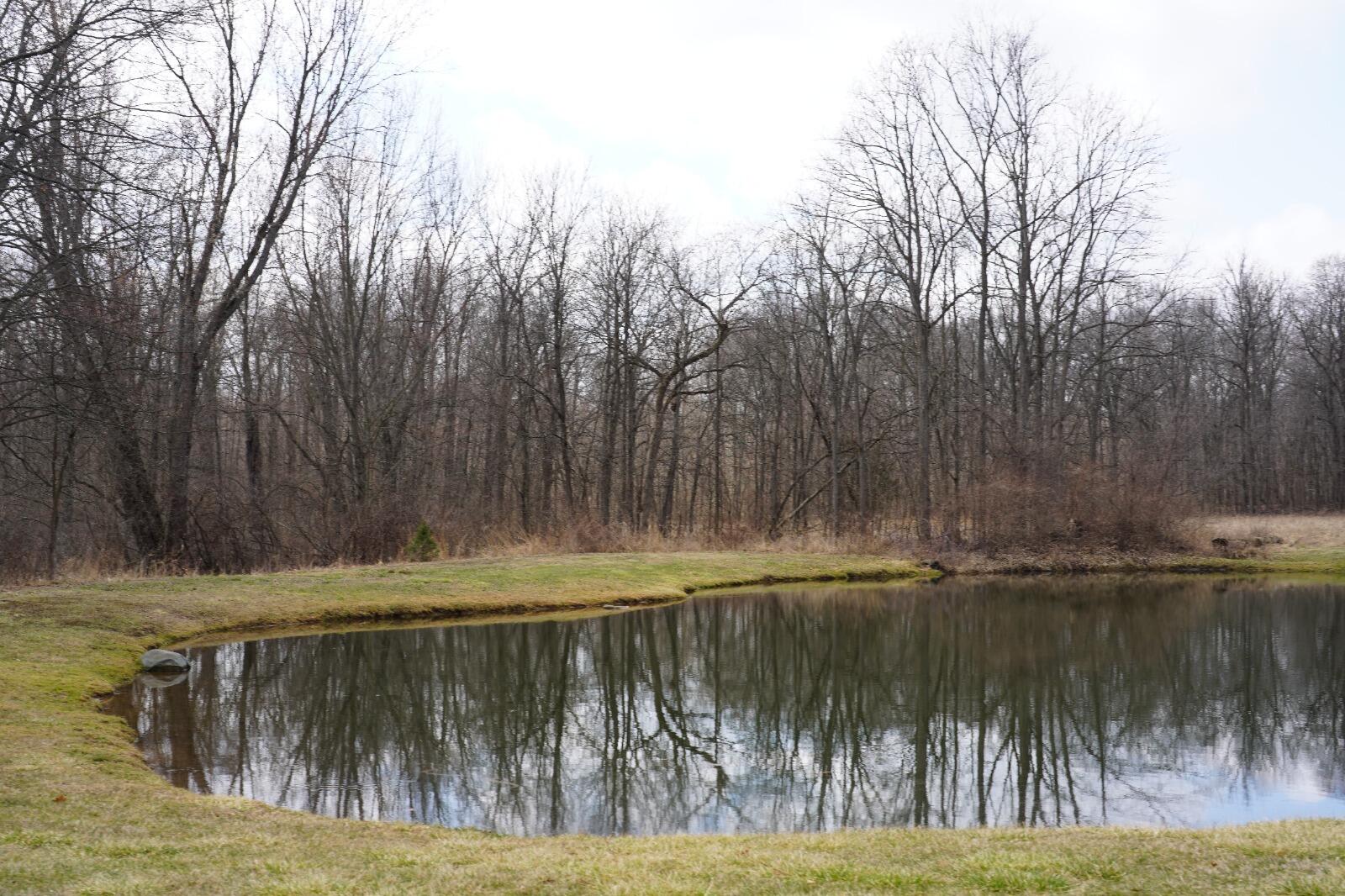 9492 Sayers Road Munith, MI 49259 - Photo 42 of 49 WhatsApp Image 2026-03-13 at 8.22.52 PM