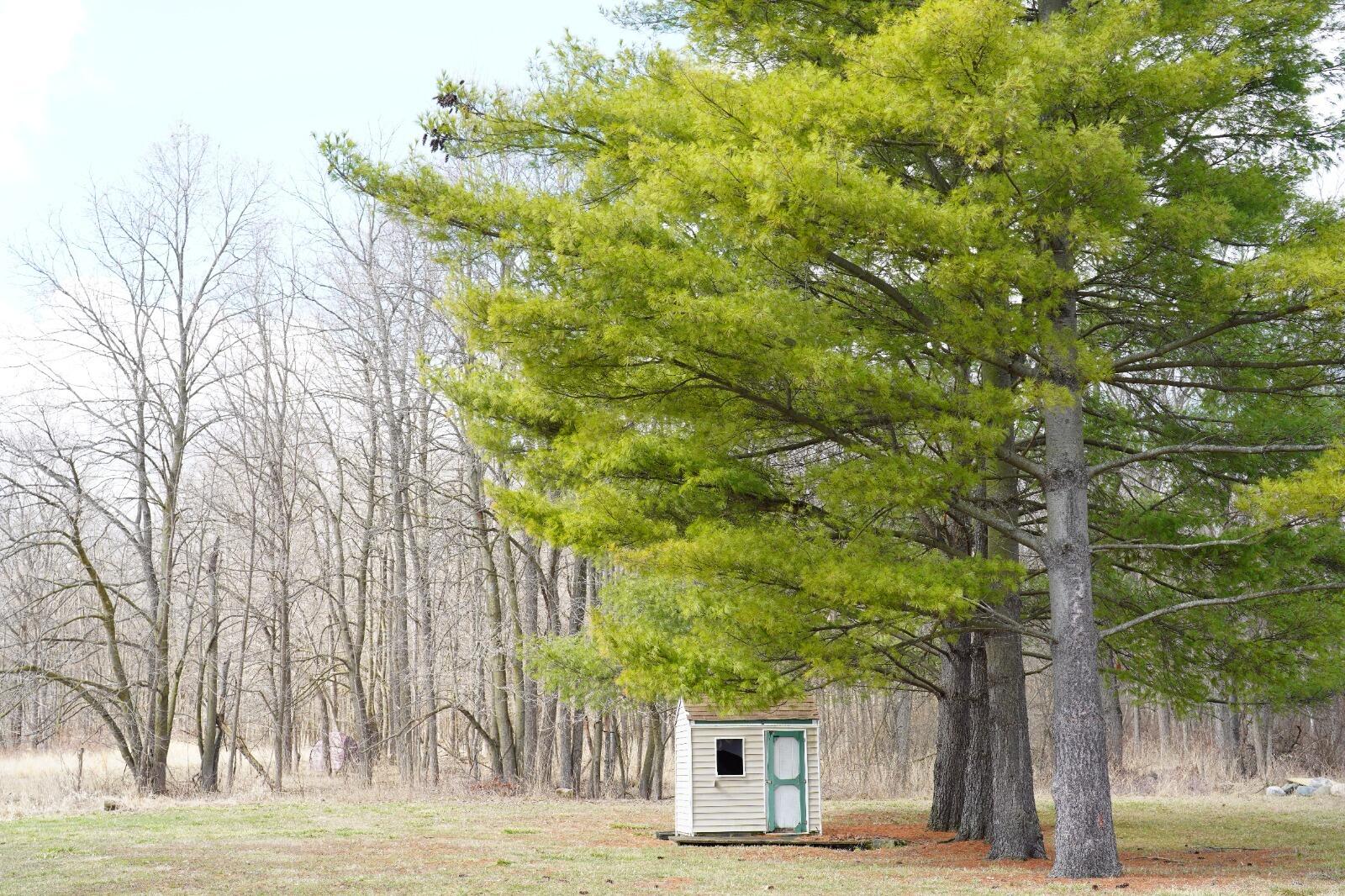 9492 Sayers Road Munith, MI 49259 - Photo 47 of 49 WhatsApp Image 2026-03-13 at 8.23.07 PM