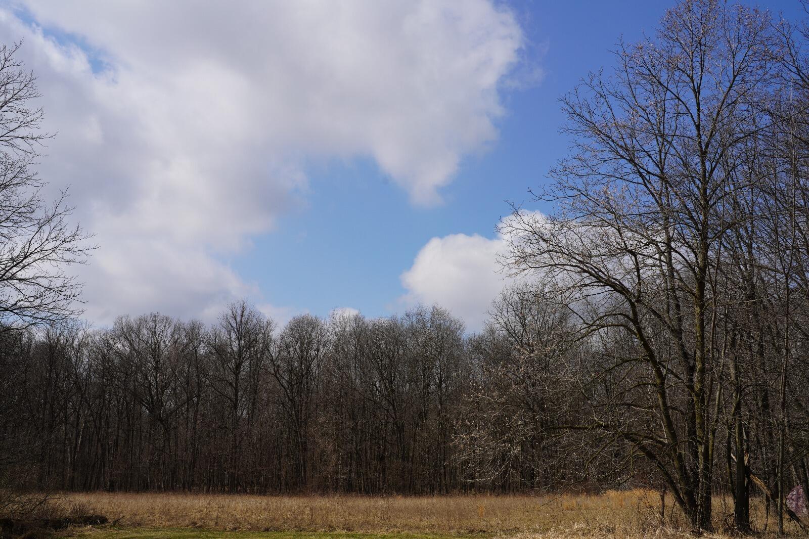 9492 Sayers Road Munith, MI 49259 - Photo 48 of 49 WhatsApp Image 2026-03-13 at 8.23.21 2