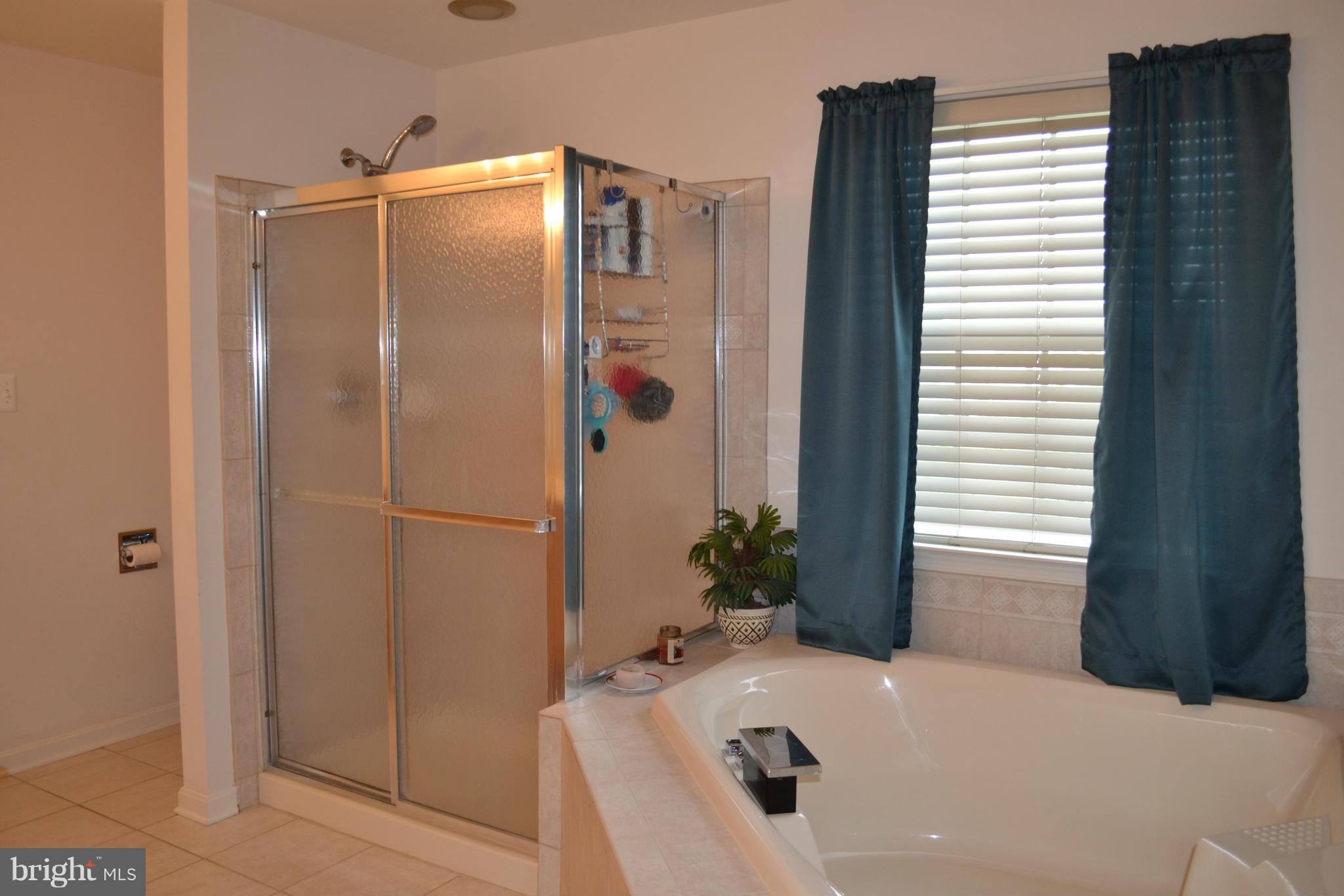 2801 Decatur Drive Adamstown, MD 21710 - Photo 20 of 30 Bath (Master)