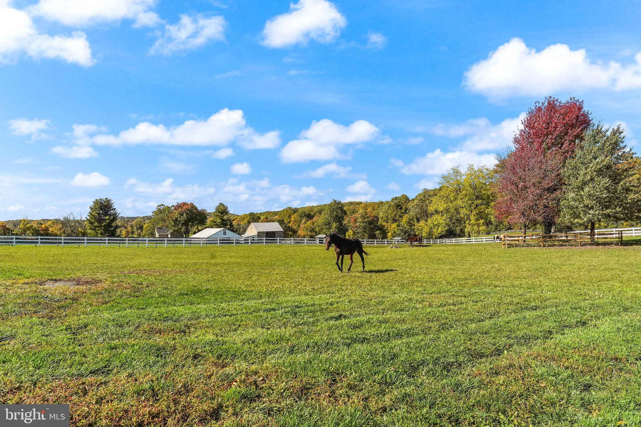 2786 Flowing Springs Road Spring City, PA 19475 - Photo 48 of 62 Pasture