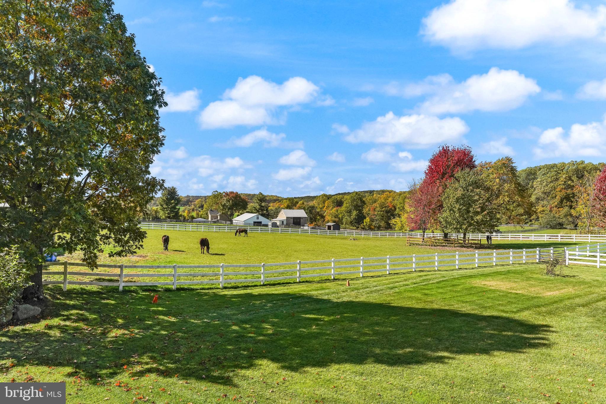 2786 Flowing Springs Road Spring City, PA 19475 - Photo 52 of 62 Pasture