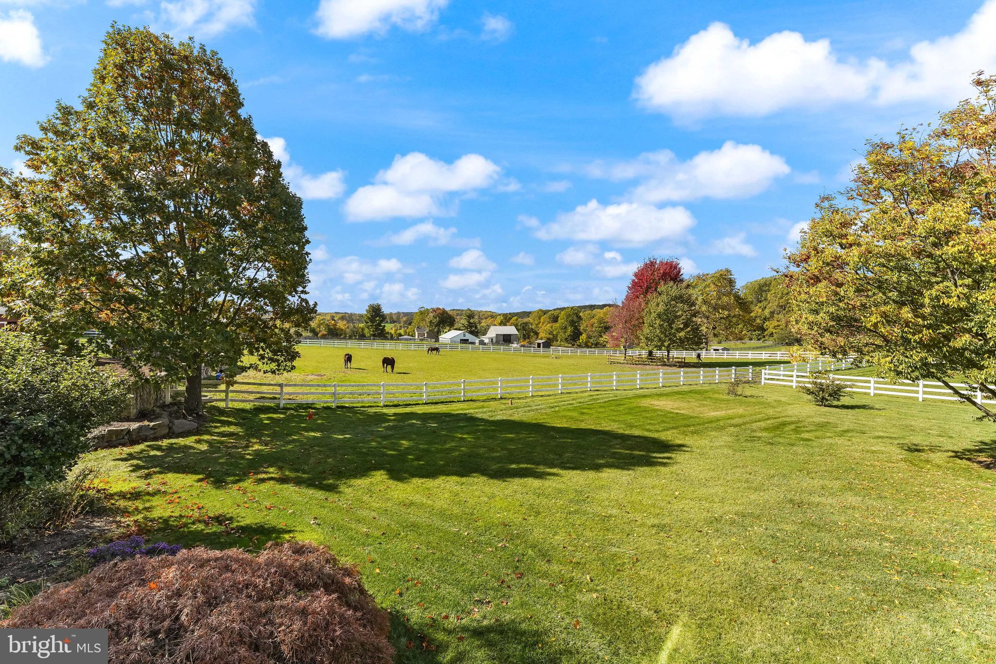 2786 Flowing Springs Road Spring City, PA 19475 - Photo 53 of 62 Pasture