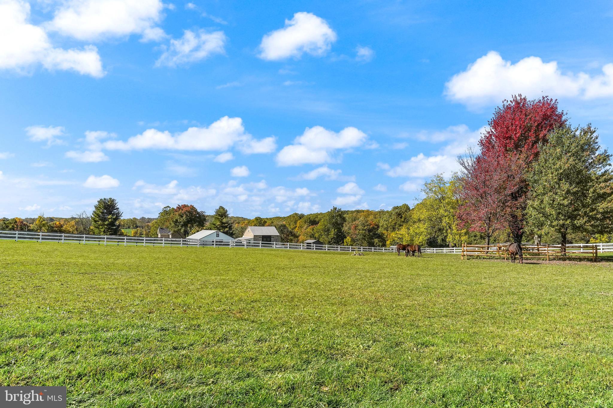2786 Flowing Springs Road Spring City, PA 19475 - Photo 54 of 62 Pasture